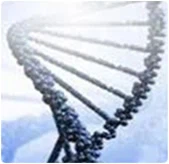 Desulfurization and Denitrification